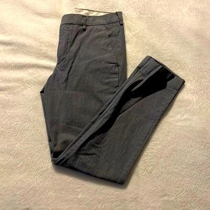Express Dress Pants
